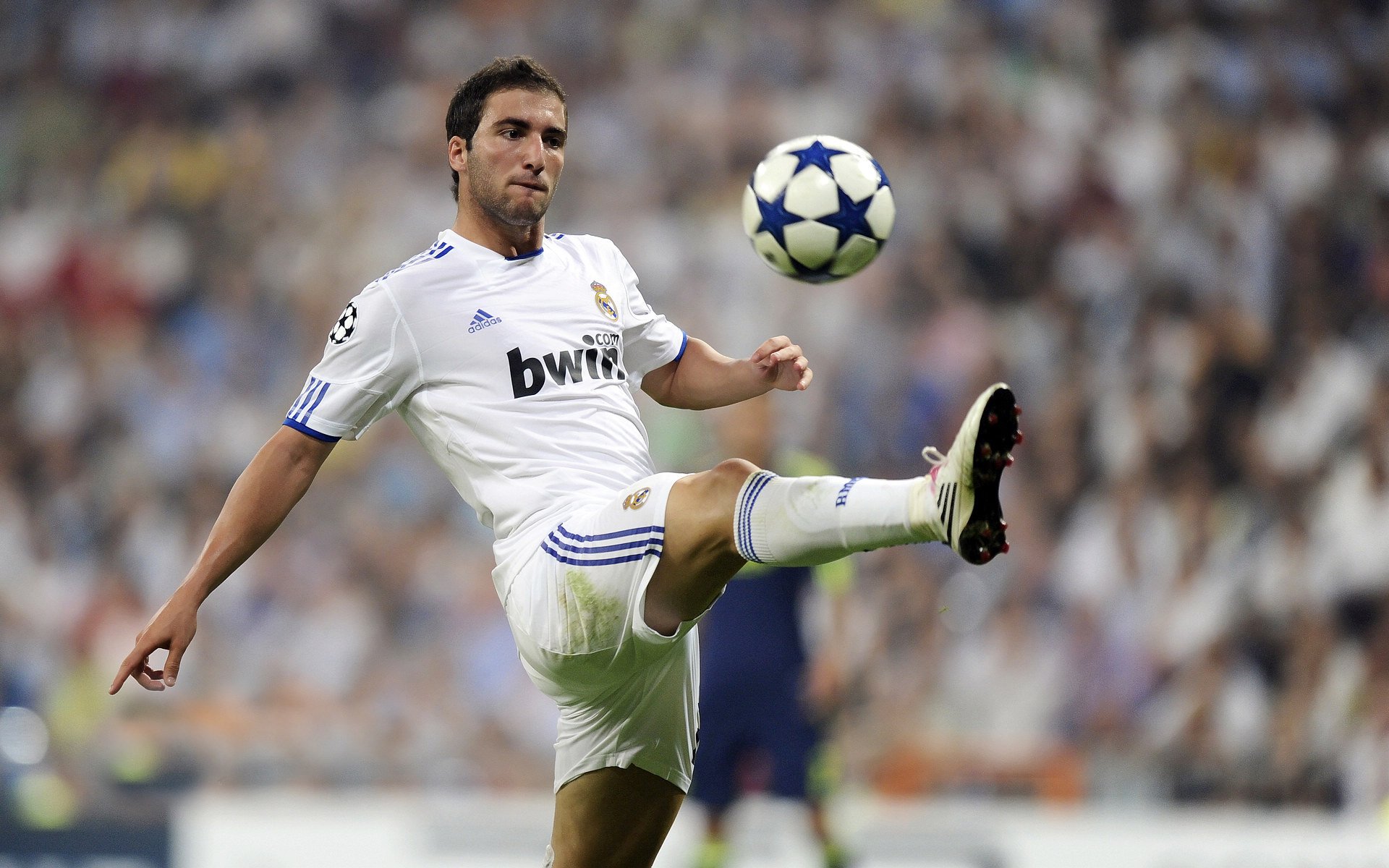 战队新人表现亮眼，战队招新